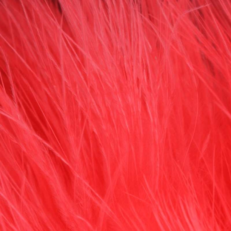 Taimen Blood Quill Marabou Flame Pink-66314