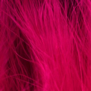 Taimen Blood Quill Marabou Flame Certise