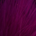 Taimen Blood Quill Marabou Flame Violet-66315