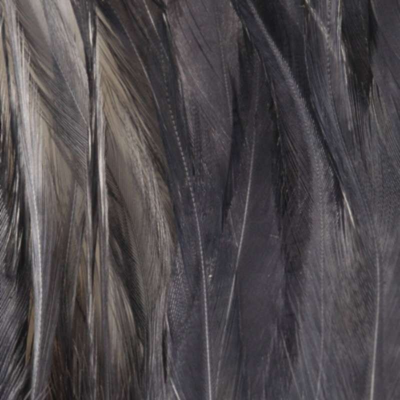 Taimen Strung Saddles Hackle Blue Dun-66339