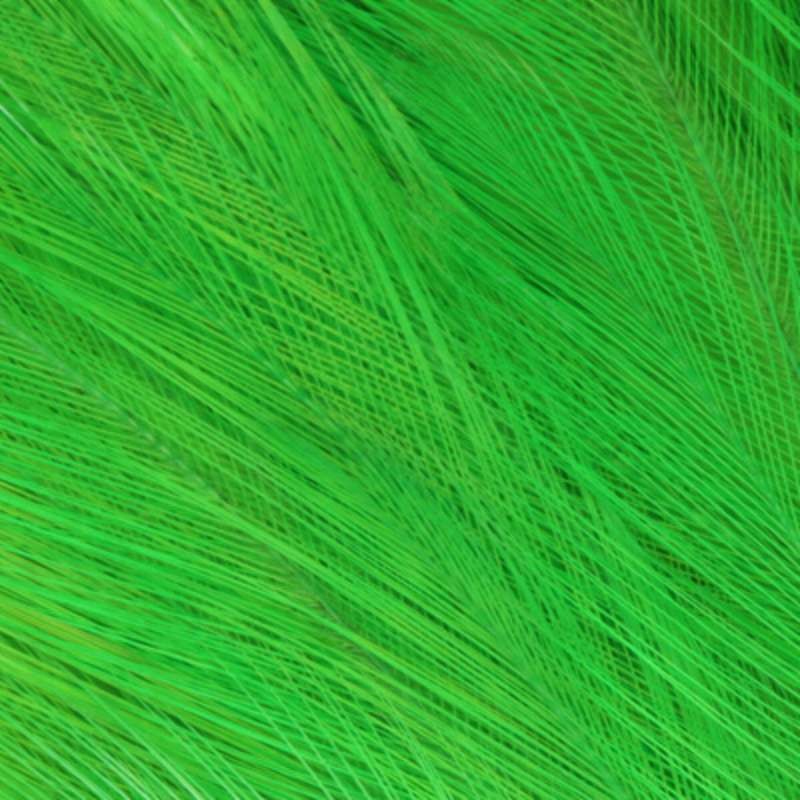 Taimen Cock Neck Hackles Insect Green-66227