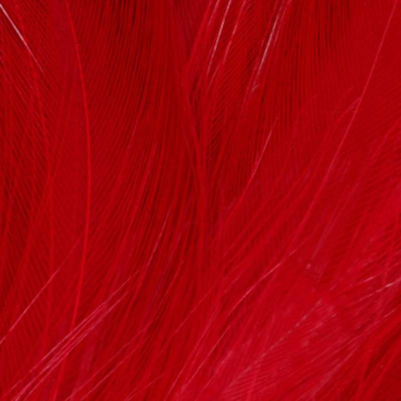 Taimen Cock Neck Hackles Flame Red-66237
