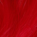 Taimen Cock Neck Hackles Flame Red-66237
