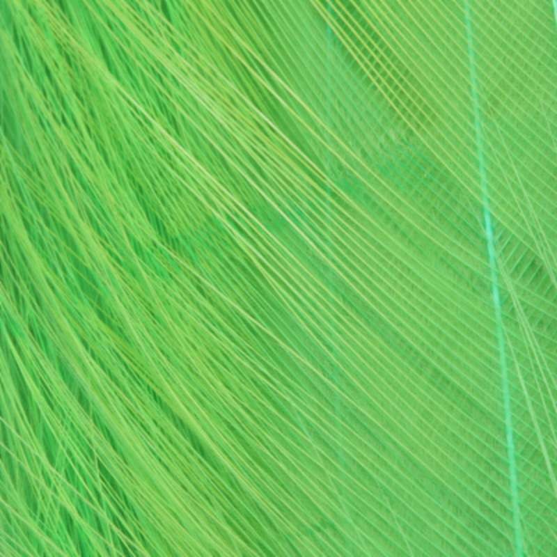 Taimen Cock Neck Hackles Flame Green-66243