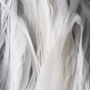 Taimen Cock Schlappen Washed White