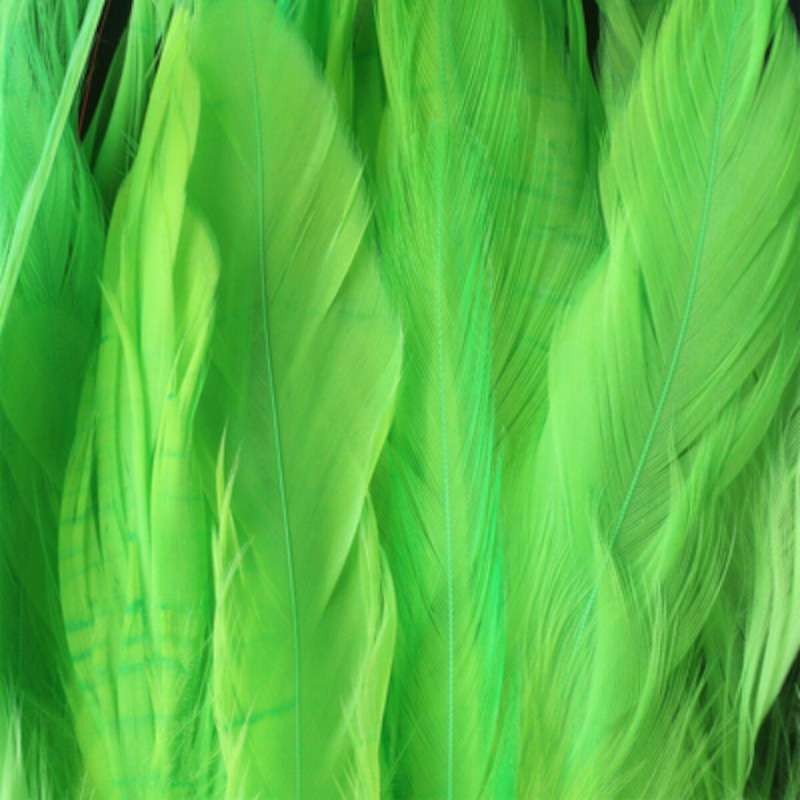 Taimen Cock Schlappen Fluo Green-66251