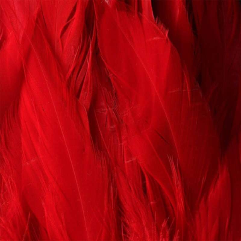 Taimen Cock Schlappen Bright Red-66250