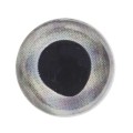 FFGene Living 3D Eyes Silver 8mm-66472