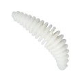 Berkley PowerBait Pupa Milky White Czosnek 4.5cm-56994