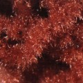 Hareline Trilobal Antron Chenille Rusty Brown L-66439