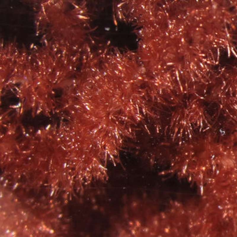 Hareline Trilobal Antron Chenille Rusty Brown M-66438