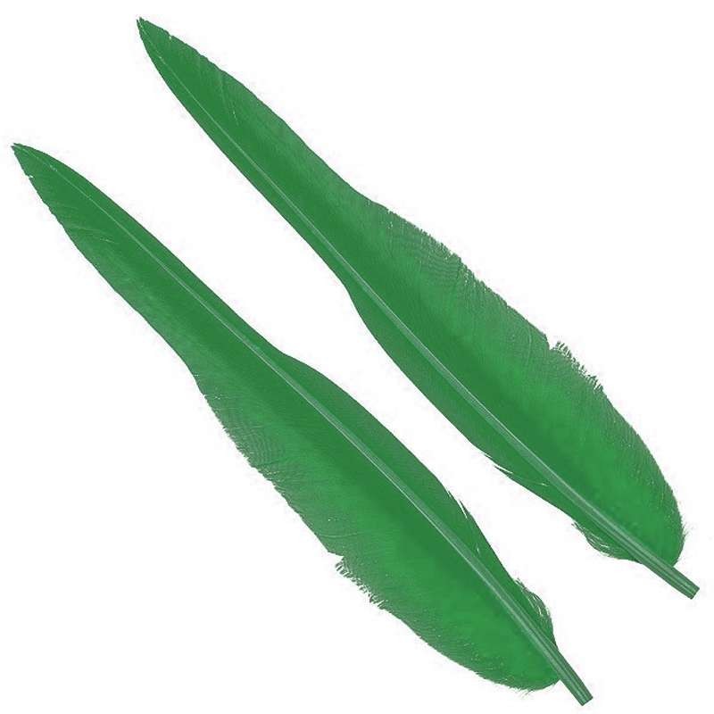 Wapsi Goose Quill Green-66397