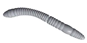 Libra Lures Fatty D'Worm Tournament