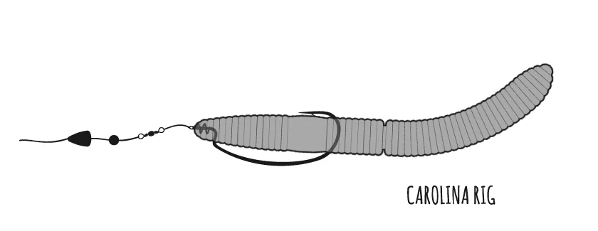 Libra Lures Fatty D'Worm zbrojenie