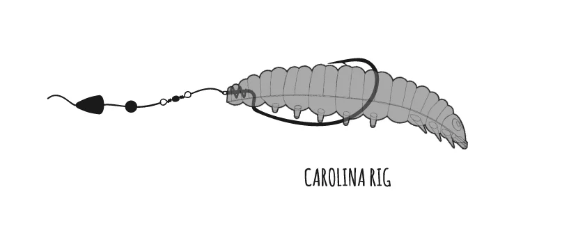 Libra Lures Larva zbrojenie
