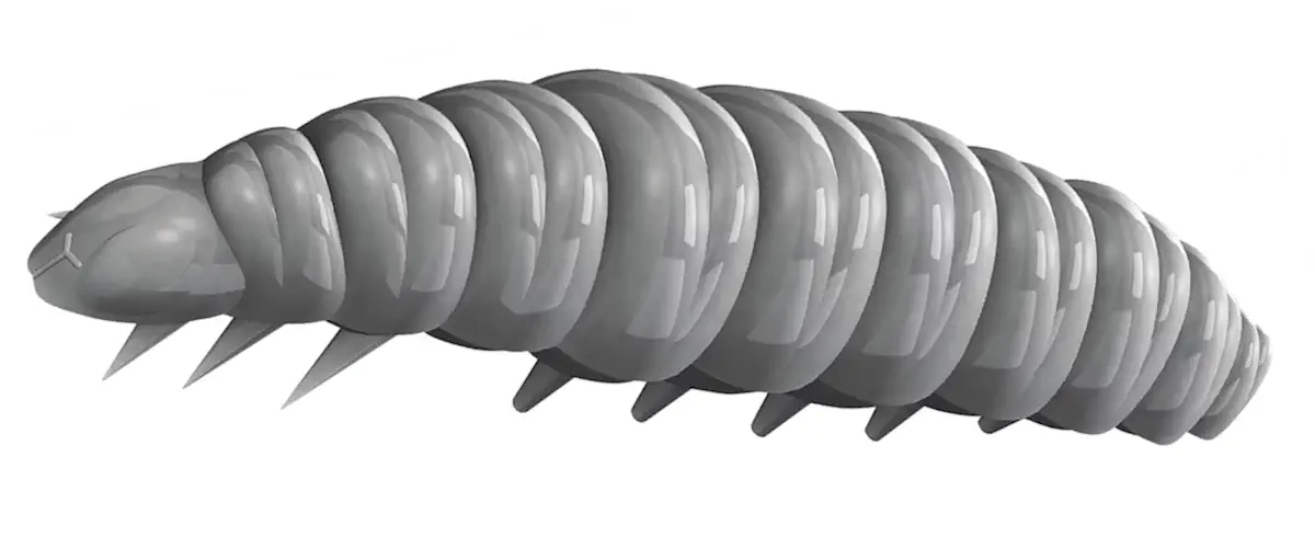 Libra Lures Larva