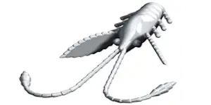 Libra Lures Pro Nymph