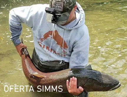 Oferta produktów Simms