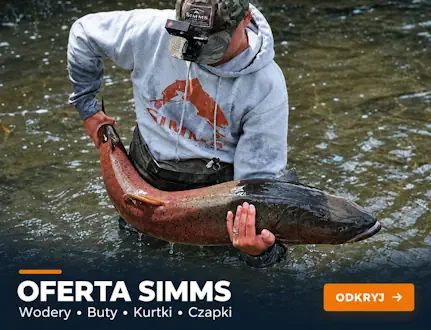Oferta produktów Simms