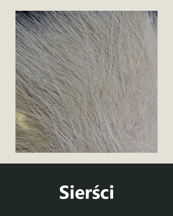 Sierści do wiązania much