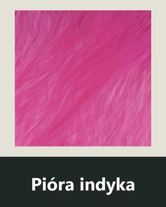 Pióra indyka (Turkey)