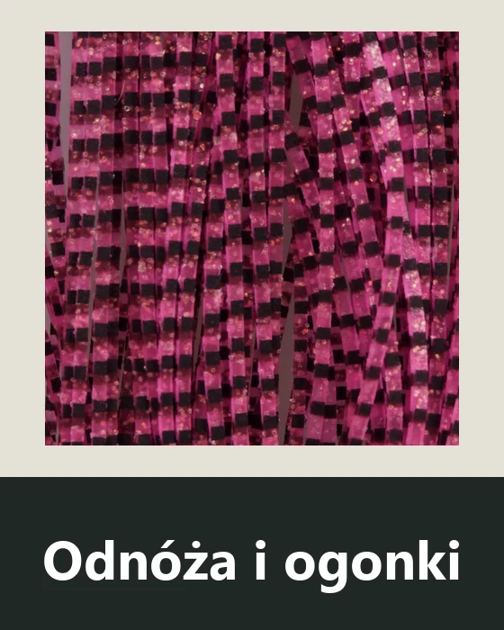 Odnóża, skrzydełka i ogonki