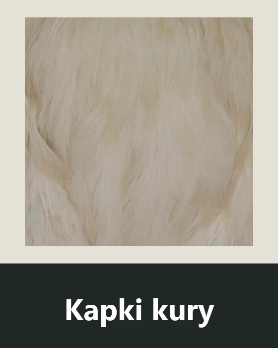 Kapki kury