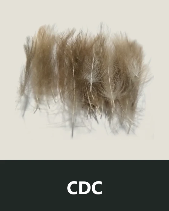 CDC