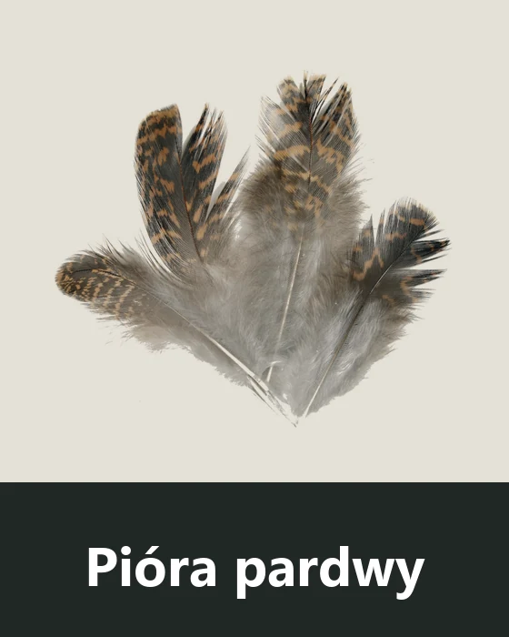 Pióra pardwy (Grouse)