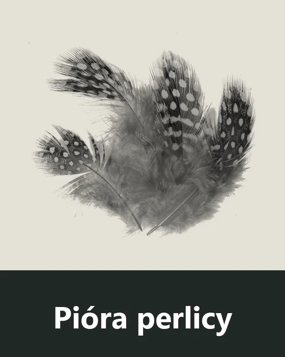 Pióra perlicy (Guinea Fowl)