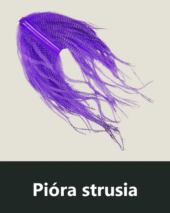 Pióra strusia (Ostrich)