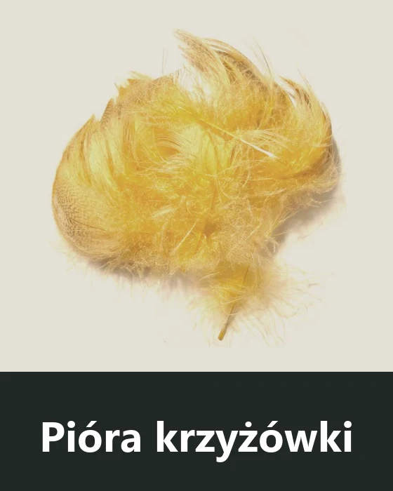 Pióra krzyżówki (Mallard)