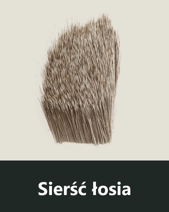 Sierść łosia