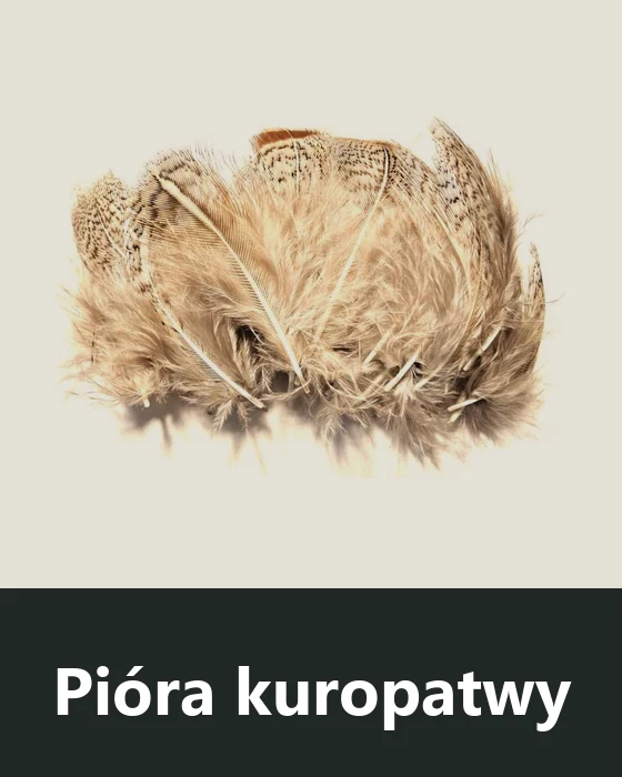 Pióra kuropatwy (Partridge)