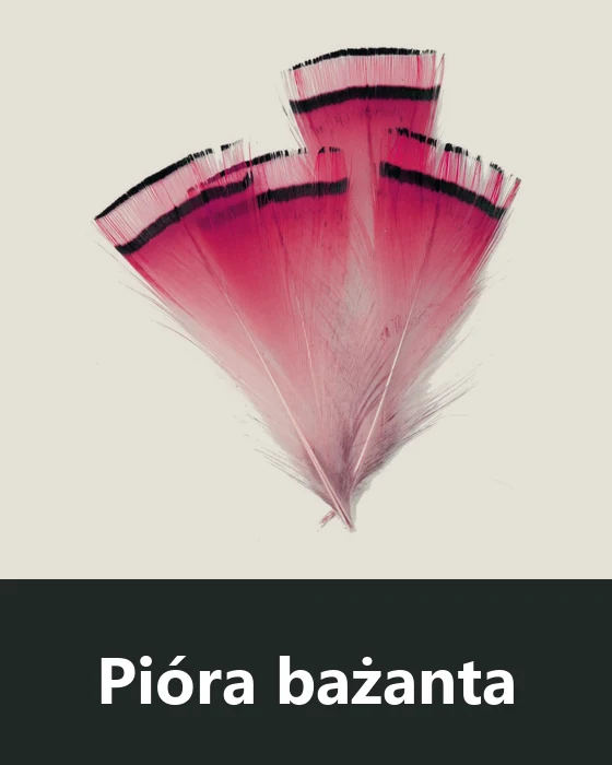 Pióra bażanta (Pheasant)