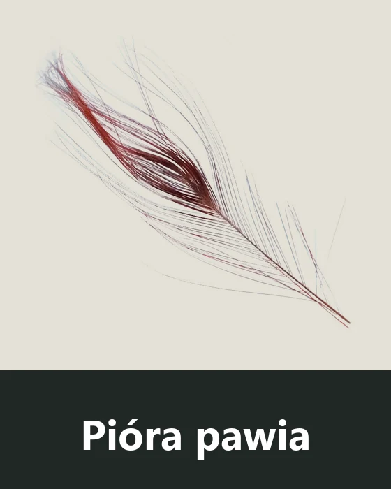 Pióra pawia (Peacock)
