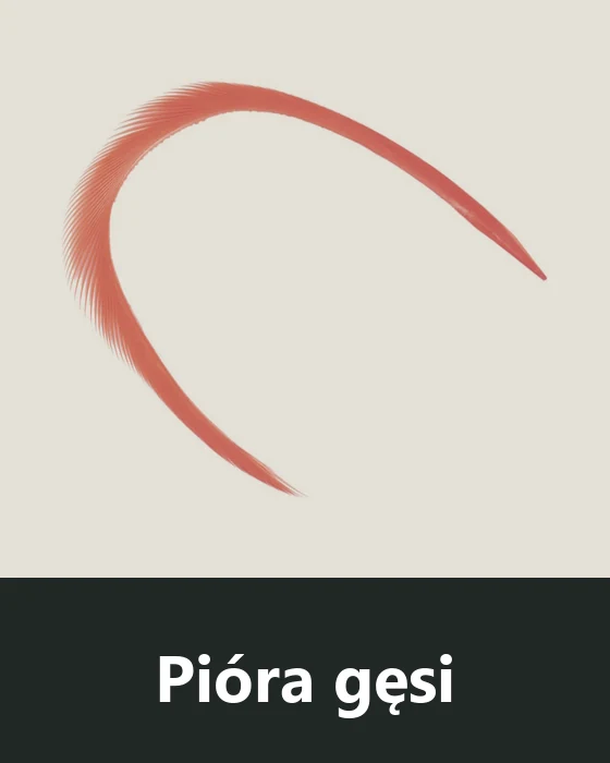 Pióra gęsi (Goose)