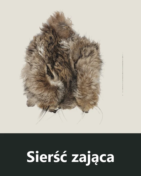 Sierść zająca