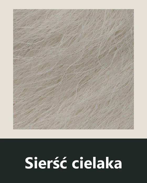 Sierść cielaka