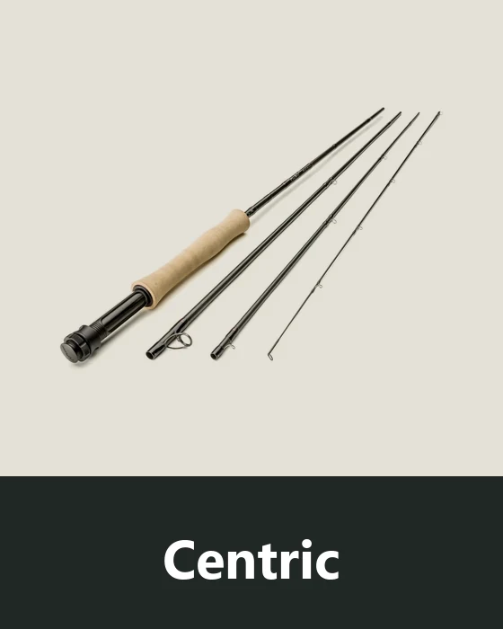 Wędki muchowe Scott Centric